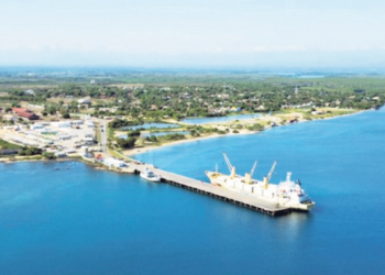 Los escollos de la Central Eléctrica de Manzanillo