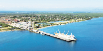 Los escollos de la Central Eléctrica de Manzanillo