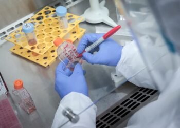 Hallan el “talón de Aquiles” del SARS-CoV-2: ¿Se abre la puerta a un tratamiento contra el COVID-19?