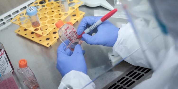 Hallan el “talón de Aquiles” del SARS-CoV-2: ¿Se abre la puerta a un tratamiento contra el COVID-19?