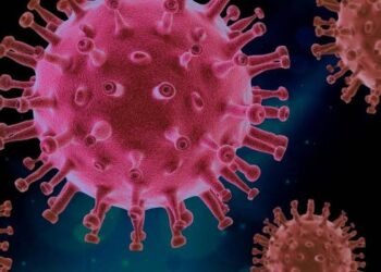 Descubren la “puerta” que se abre en el virus del COVID-19 para poder infectar