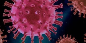 Descubren la “puerta” que se abre en el virus del COVID-19 para poder infectar