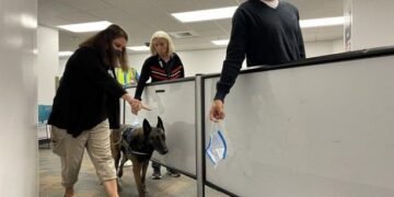 Aeropuerto de Miami primero en implementar detección COVID-19 con perros