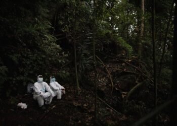 El origen del COVID: ¿por qué el mundo no tiene la respuesta más importante de la pandemia?