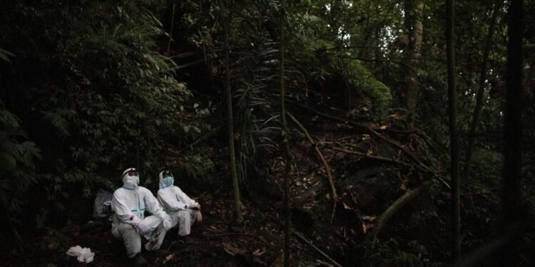 El origen del COVID: ¿por qué el mundo no tiene la respuesta más importante de la pandemia?