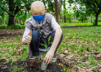 Celebran en la ONU que el ambiente sano sea desde ahora un derecho humano