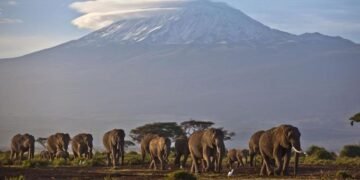 Reporte prevé rápida desaparición de los glaciares de África