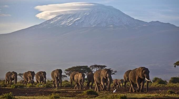 Reporte prevé rápida desaparición de los glaciares de África