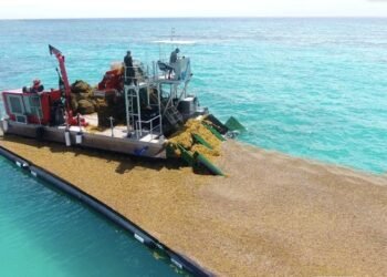 Instalan primera planta para la transformación del sargazo en RD.