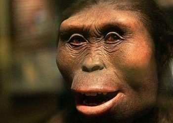 Se cumplen 47 años del hallazgo de Lucy, ‘Madre de la humanidad’