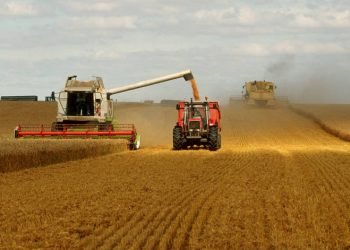 La agricultura aumenta en el mundo, pero también el hambre