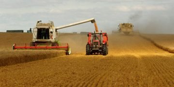 La agricultura aumenta en el mundo, pero también el hambre