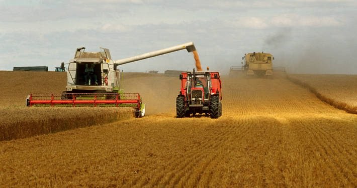 La agricultura aumenta en el mundo, pero también el hambre