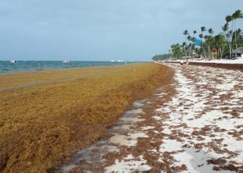 15 Ideas innovadoras para una recuperación verde