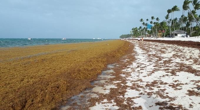 15 Ideas innovadoras para una recuperación verde