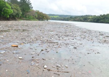Microplásticos pasan años en lechos de ríos antes de llegar al mar