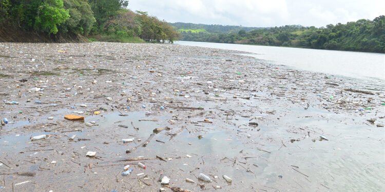 Microplásticos pasan años en lechos de ríos antes de llegar al mar