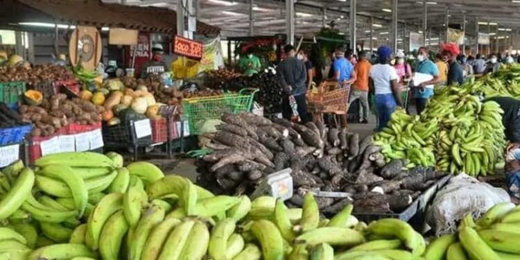 Plátanos, huevos, limones y otros alimentos, los que más aumentaron de precio en diciembre de 2021