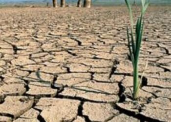 Científicos advierten de la generalización de las sequías este siglo