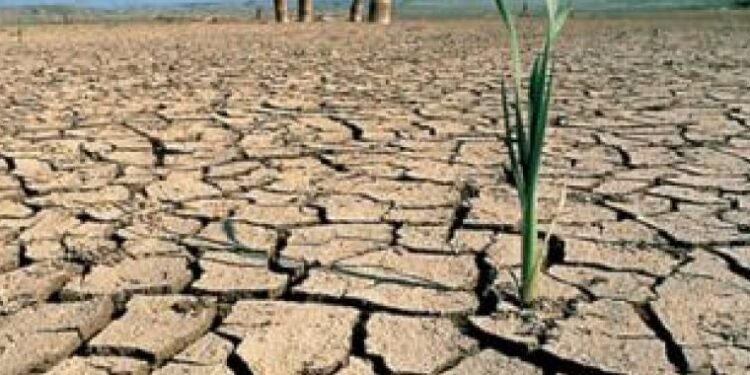 Científicos advierten de la generalización de las sequías este siglo