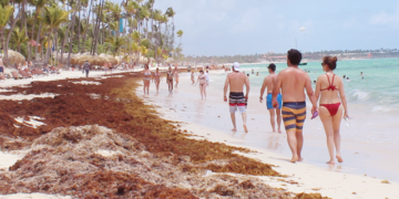Preocupación en Verón y Punta Cana por sargazo, «un problema para el turismo»