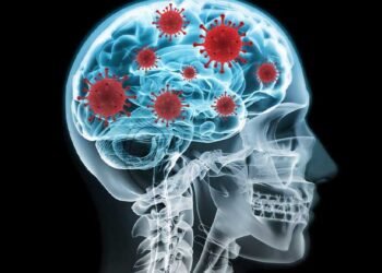 Descubren la posible causa de la ‘niebla mental’, una de las secuelas del covid-19 que afecta a la memoria y la atención