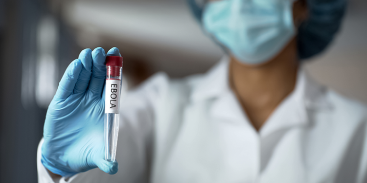 Descubren que el virus del ébola puede sobrevivir al tratamiento y ocultarse en el cerebro durante años antes de reinfectar a su huésped