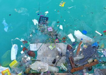 Los residuos plásticos están presentes de forma masiva en todos los océanos