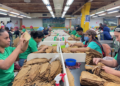 La industria del tabaco, un elaborado y delicado placer