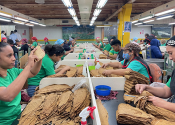 La industria del tabaco, un elaborado y delicado placer
