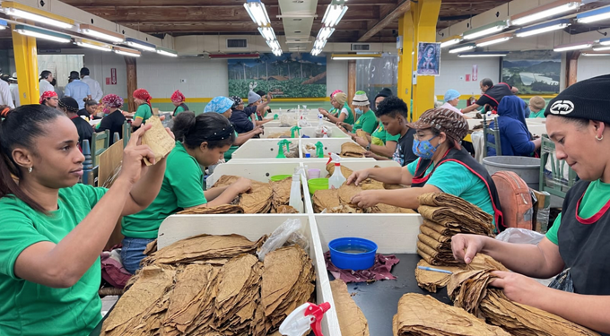 La industria del tabaco, un elaborado y delicado placer