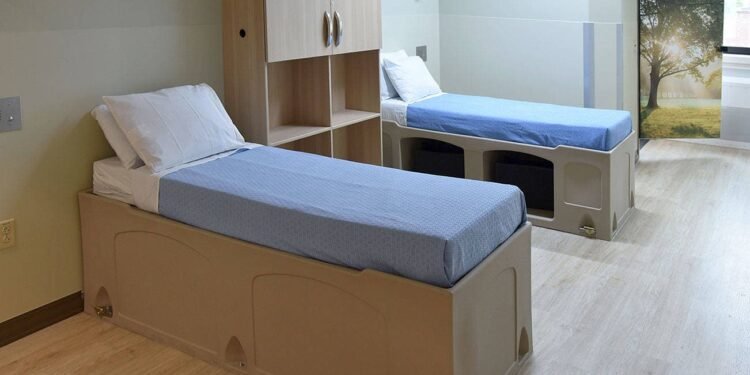 Que devuelvan las camas, Sociedad Psiquiatría grita para que las regresen a pacientes mentales