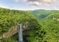 Día mundial de la naturaleza.