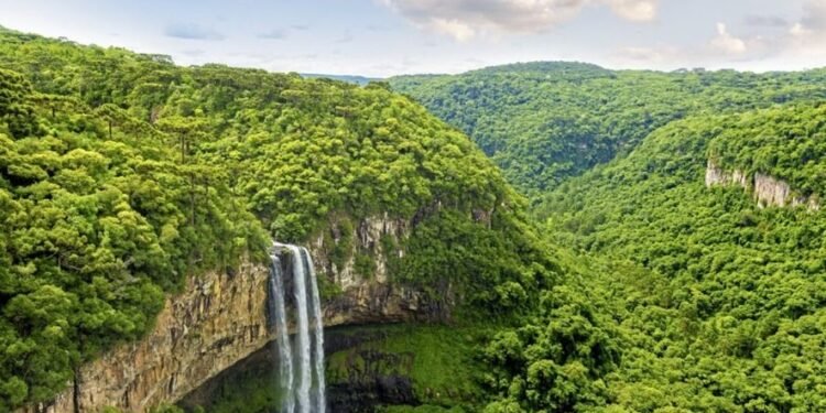 Día mundial de la naturaleza.