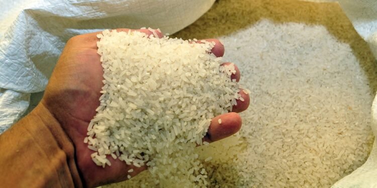 PLD dice acciones del Gobierno provocan quiebra sector arrocero