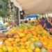 Más que una fruta, el mango es un negocio extendido a tres provincias