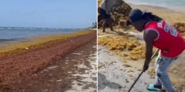 El sargazo cubría este domingo playas del Este de R. Dominicana