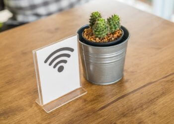 Descubren que los cactus pueden servir como antenas de wifi de banda ancha