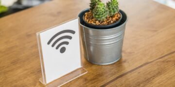 Descubren que los cactus pueden servir como antenas de wifi de banda ancha