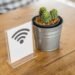 Descubren que los cactus pueden servir como antenas de wifi de banda ancha