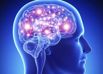 ¡Cuida tu cerebro!, el estrés que genera la violencia social altera el sistema que controla las emociones