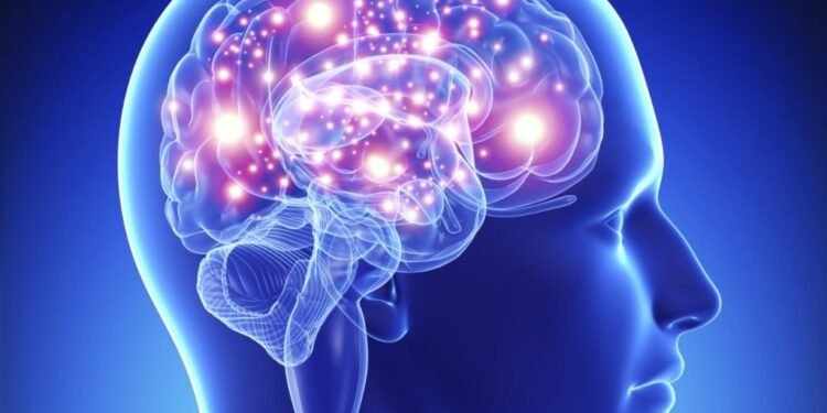 ¡Cuida tu cerebro!, el estrés que genera la violencia social altera el sistema que controla las emociones