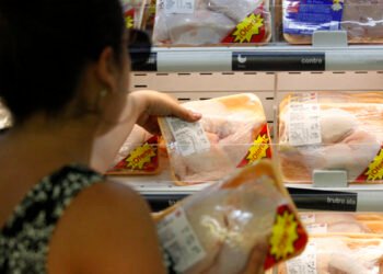 Traen pollos y huevos desde Brasil y Bélgica ante alta demanda