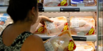 Traen pollos y huevos desde Brasil y Bélgica ante alta demanda