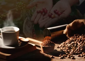 Café dominicano se venderá en los 6 principales estados EE.UU.