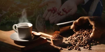 Café dominicano se venderá en los 6 principales estados EE.UU.