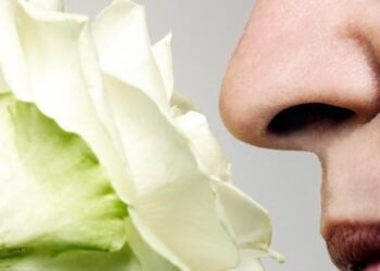 La pérdida rápida de olfato predice la demencia