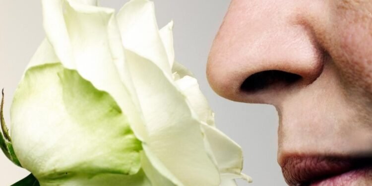 La pérdida rápida de olfato predice la demencia