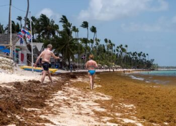 El Sargazo en playas dominicanas.