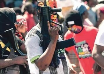 EE.UU. preocupado por aumento armas confiscadas rumbo a Haití